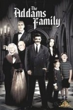 Watch The Addams Family Alluc